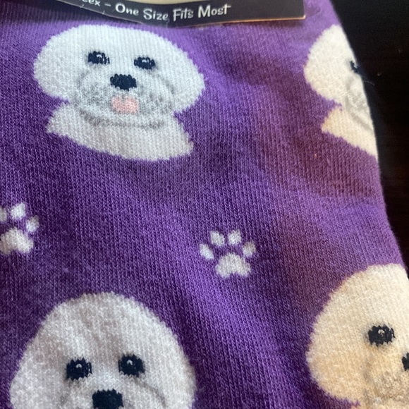 Sock daddy dog socks brand new - Picture 2 of 3